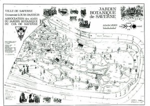 Plan du Jardin botanique de Saverne