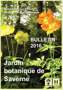 Bulletin 2016