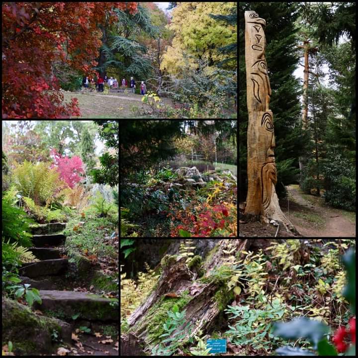 Jardin Botanique de Saverne Jardin Botanique de Saverne