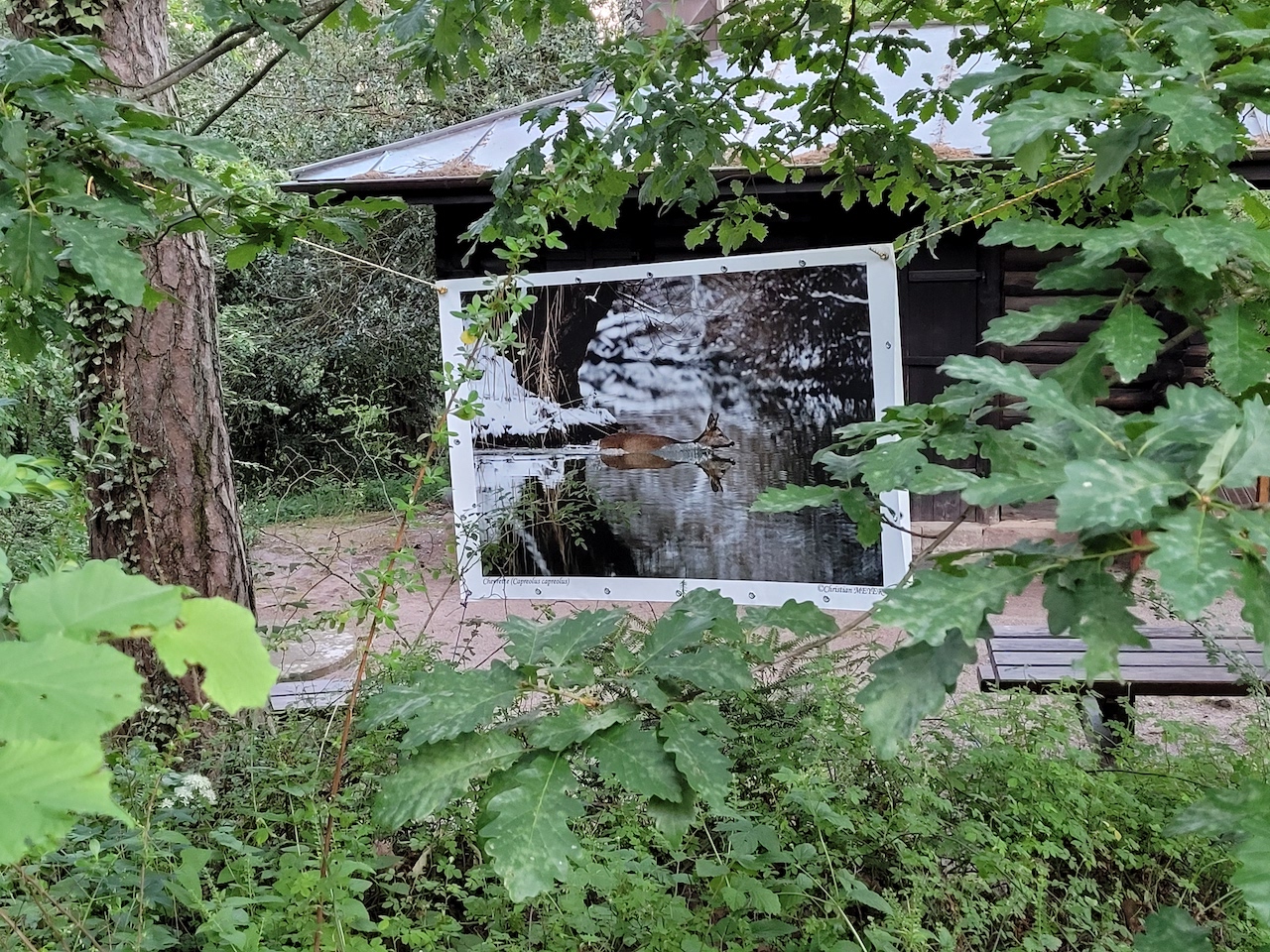Jardin Botanique de Saverne