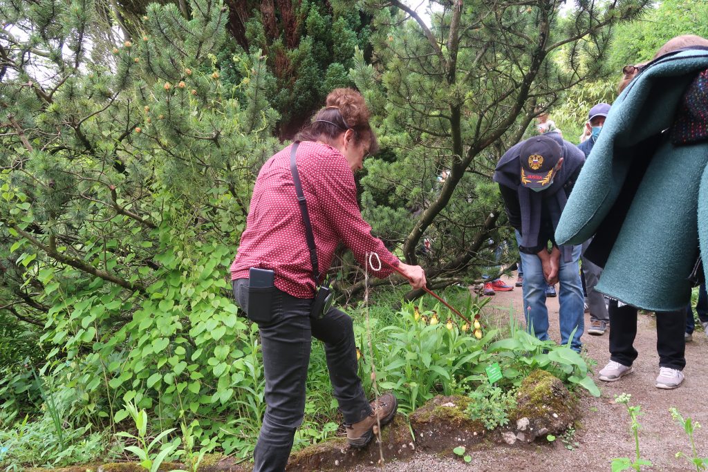 Jardin Botanique De Saverne